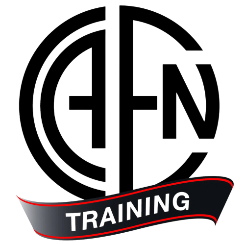 LOGO_C.A.E.N_TRAINING
